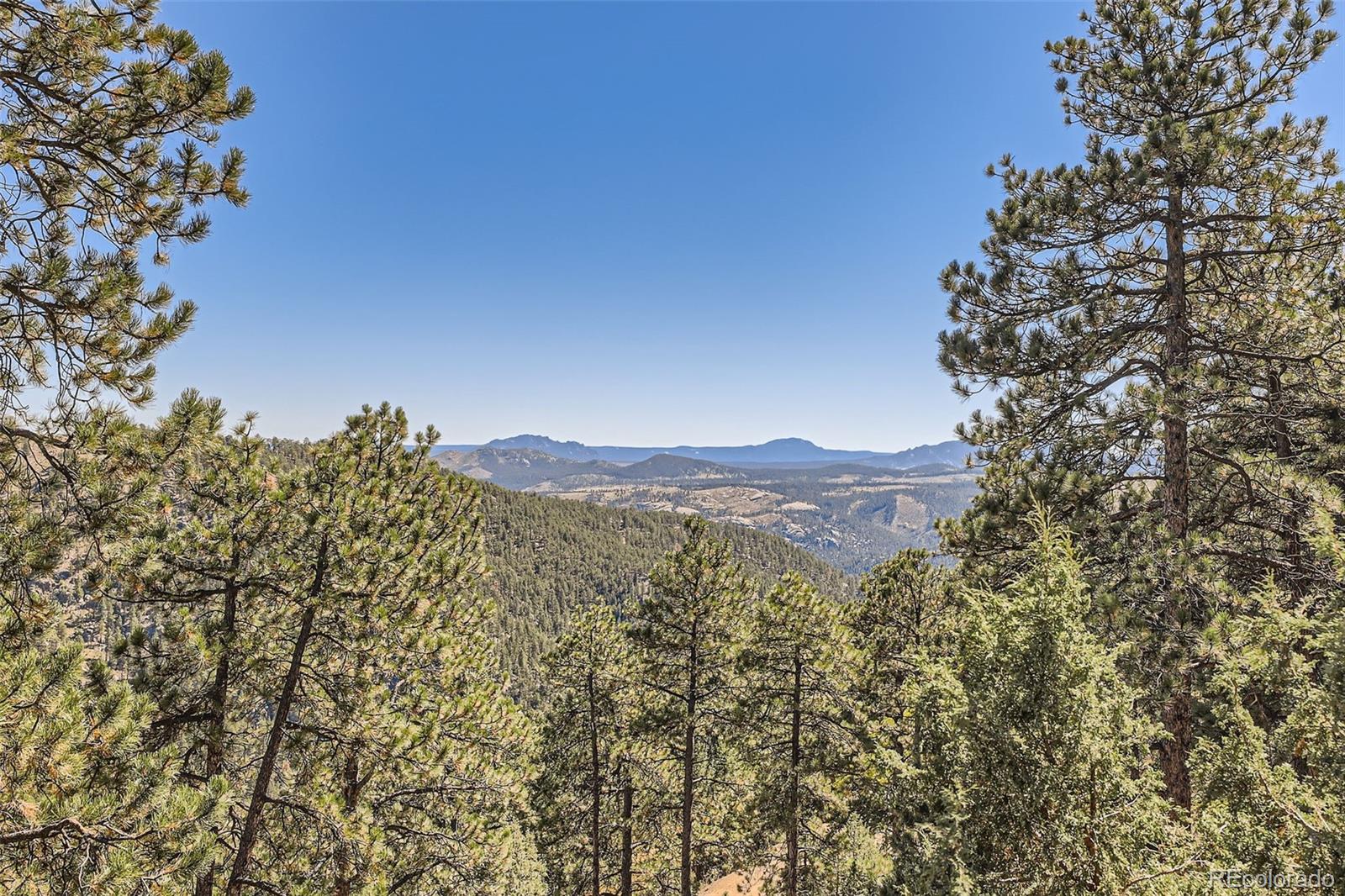 MLS Image #3 for 68  turkey lane,bailey, Colorado