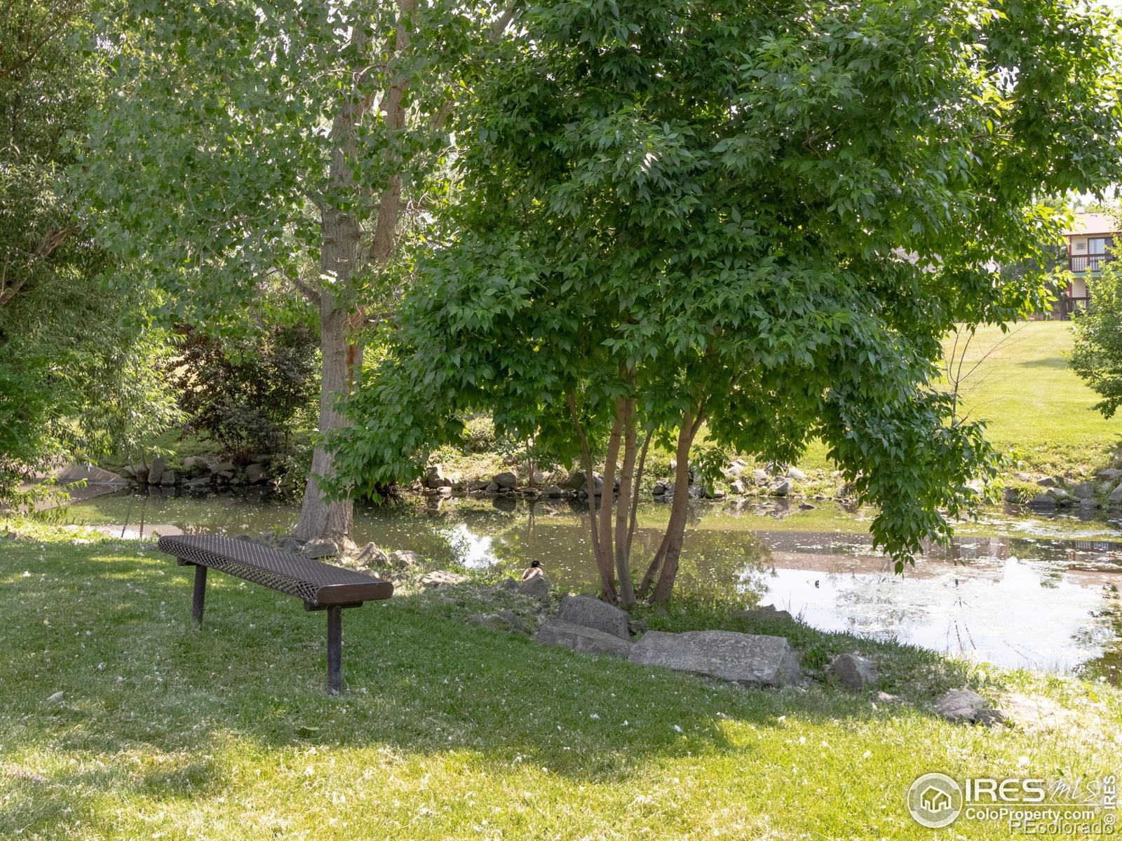 MLS Image #33 for 1256  atwood court,longmont, Colorado