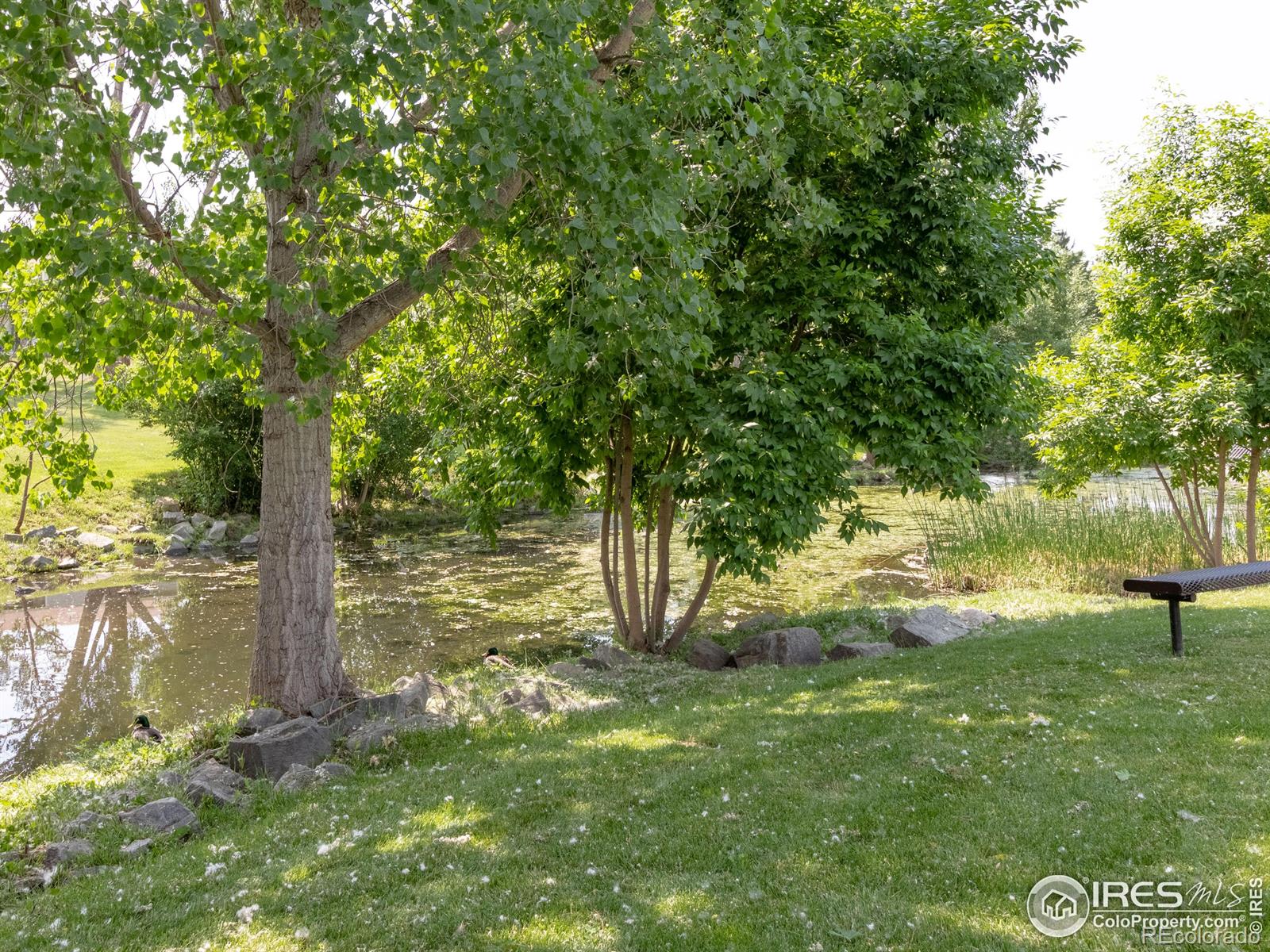 MLS Image #34 for 1256  atwood court,longmont, Colorado
