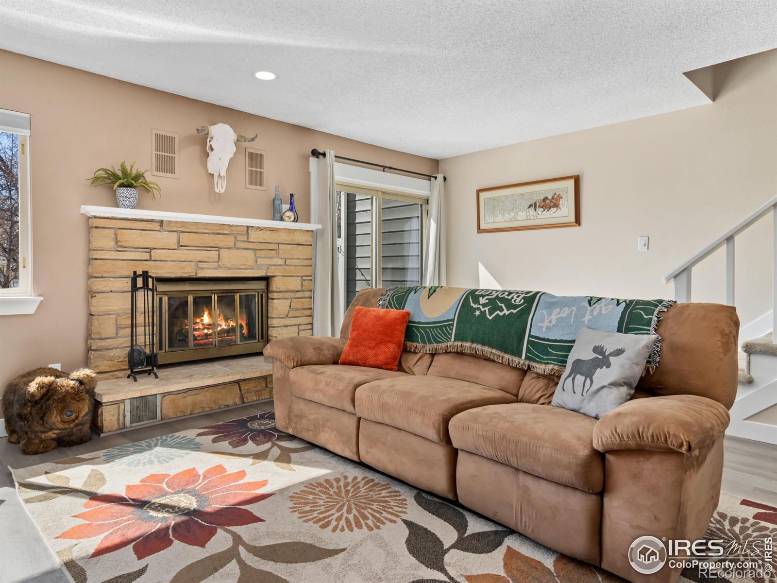 MLS Image #8 for 1256  atwood court,longmont, Colorado