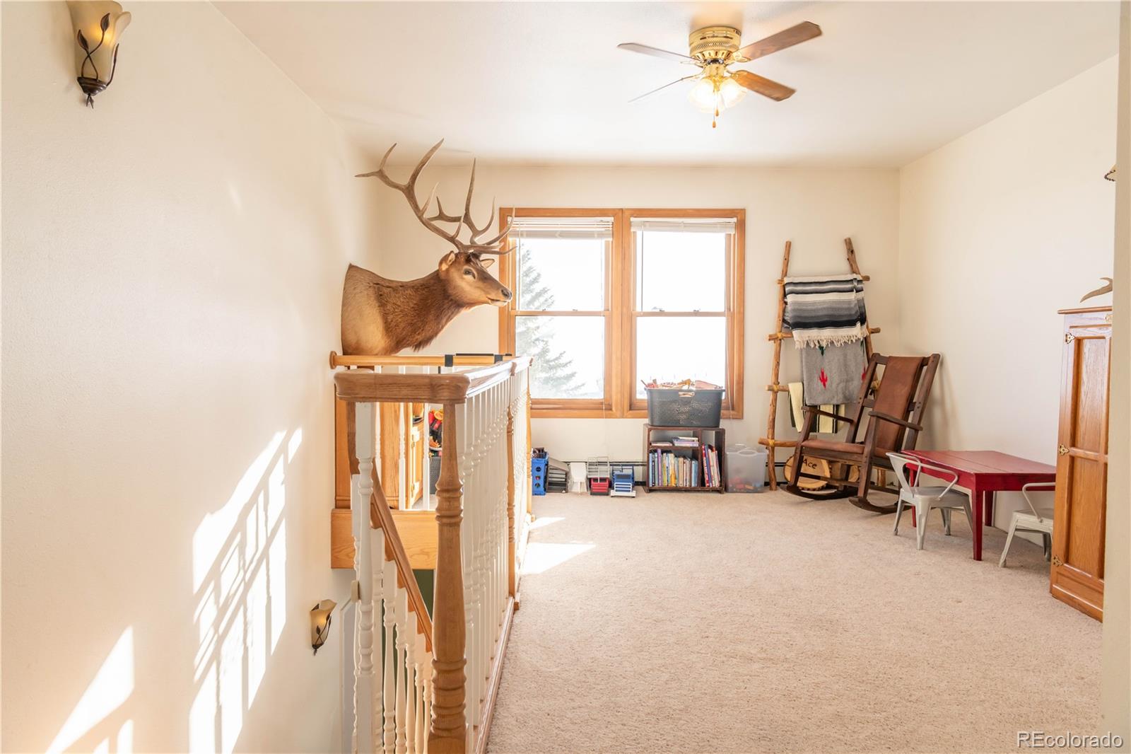 MLS Image #13 for 41905  county road 76 ,hayden, Colorado