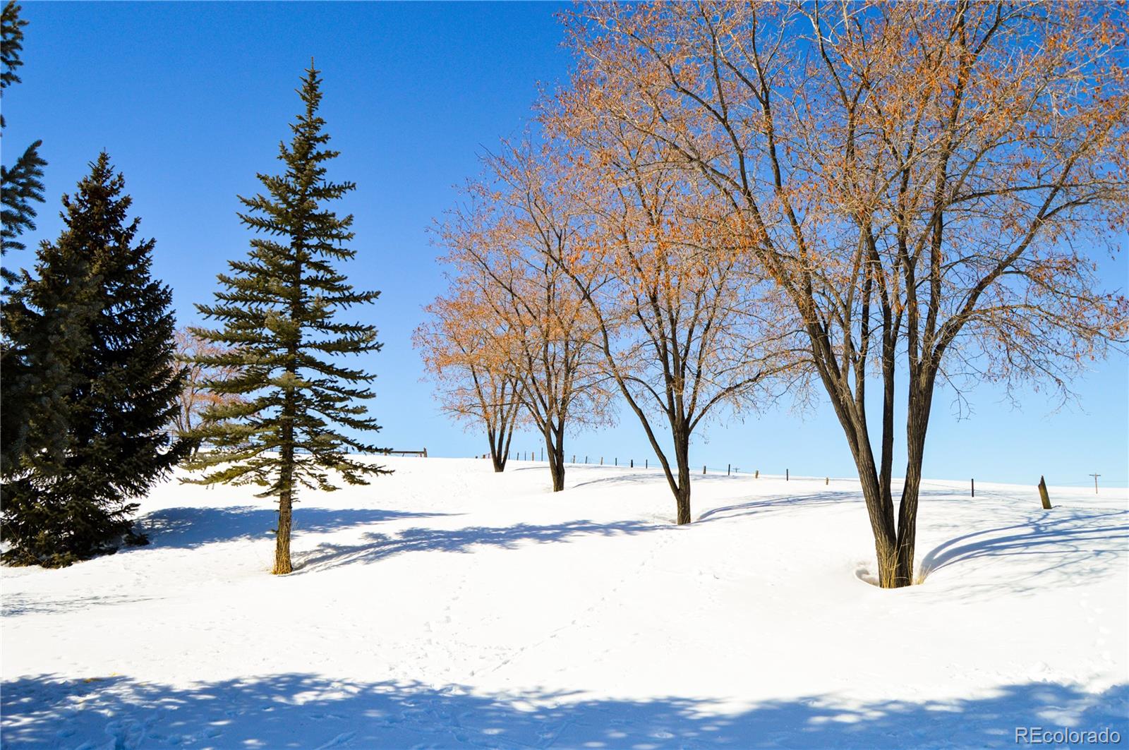 MLS Image #24 for 41905  county road 76 ,hayden, Colorado