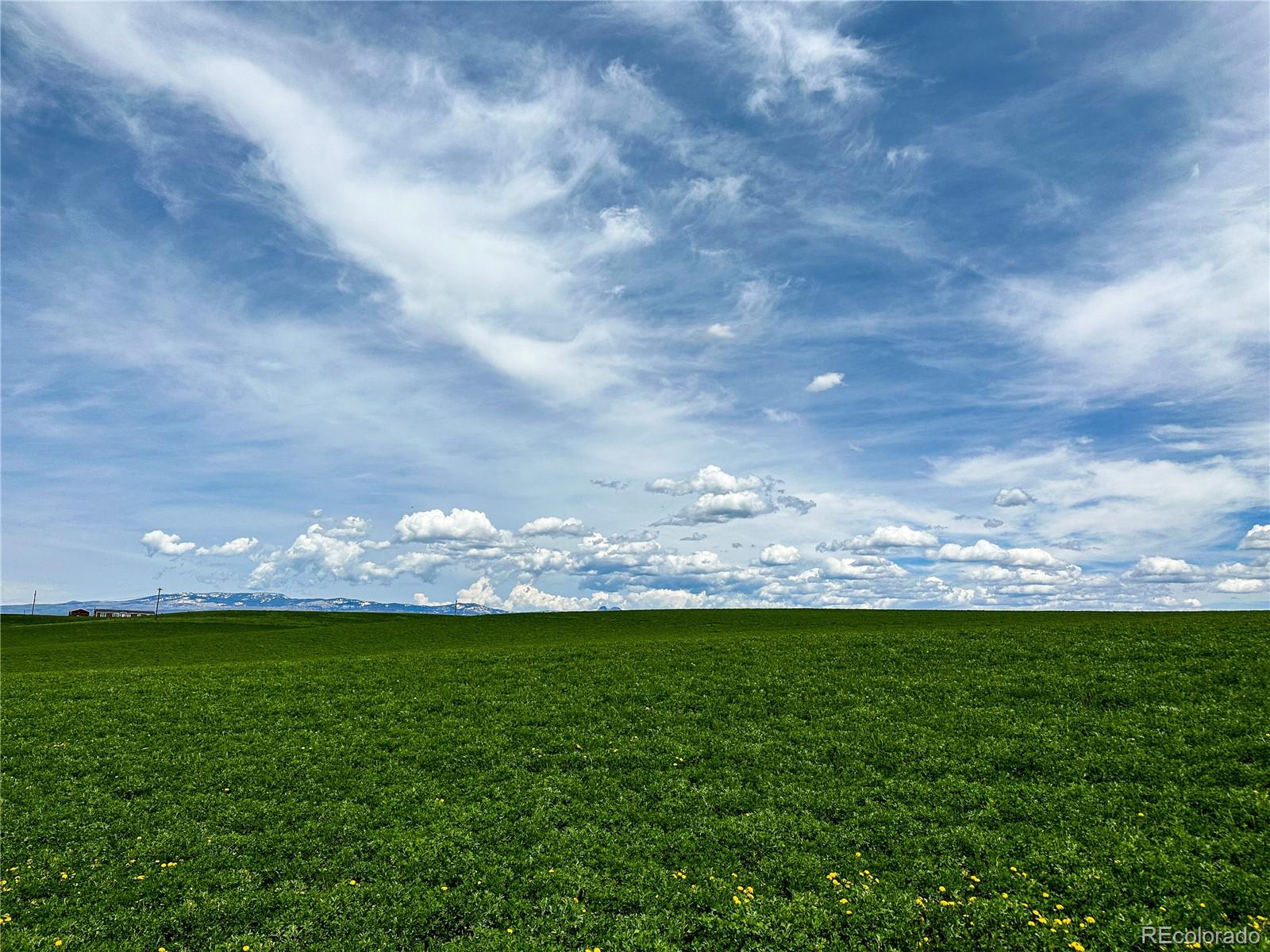 MLS Image #26 for 41905  county road 76 ,hayden, Colorado