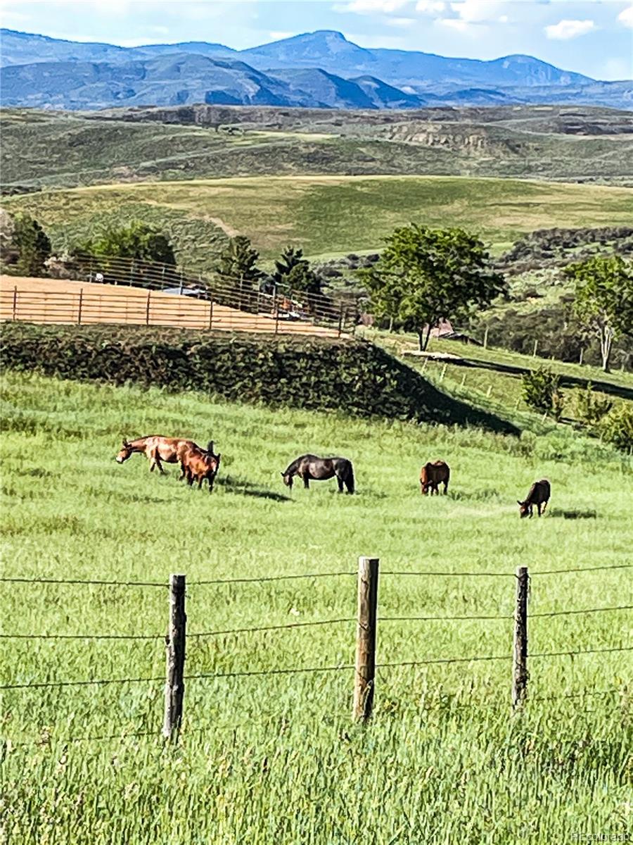 MLS Image #30 for 41905  county road 76 ,hayden, Colorado