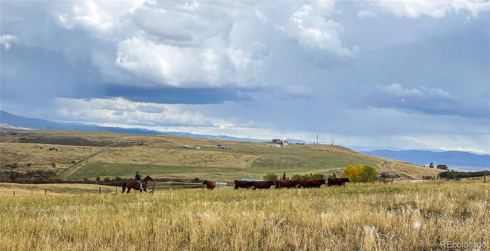 MLS Image #32 for 41905  county road 76 ,hayden, Colorado