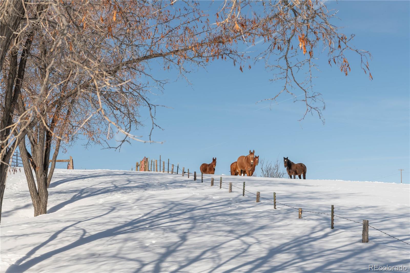 MLS Image #33 for 41905  county road 76 ,hayden, Colorado