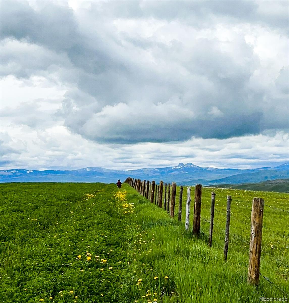 MLS Image #7 for 41905  county road 76 ,hayden, Colorado