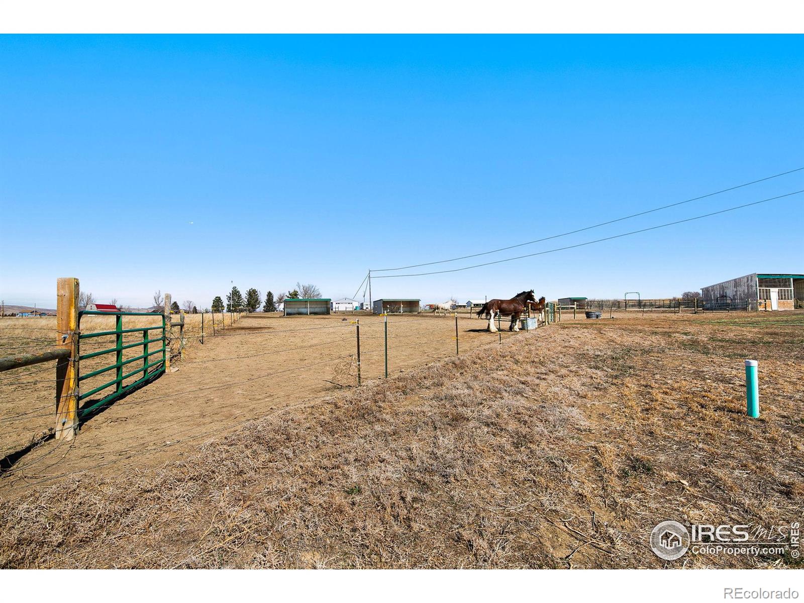 MLS Image #35 for 1955  buck drive,fort collins, Colorado