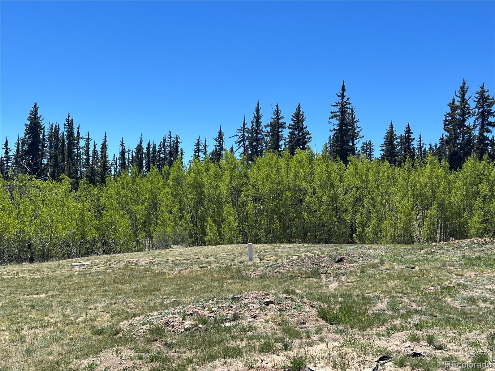 MLS Image #10 for 280  apache trail,jefferson, Colorado