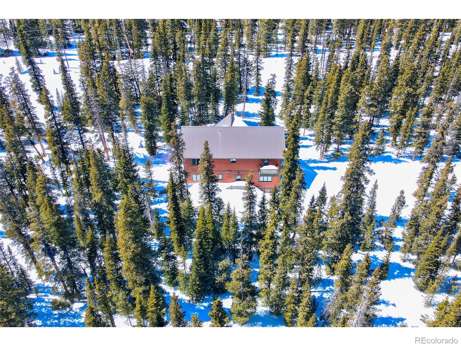 MLS Image #18 for 1561  prunes place,fairplay, Colorado