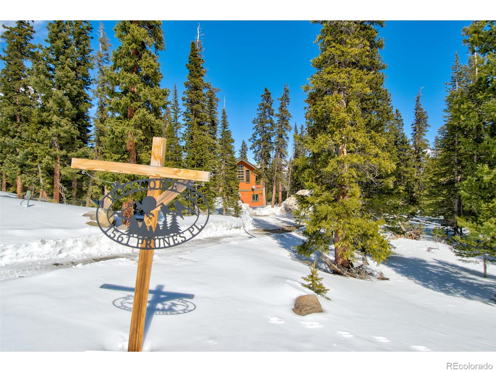 MLS Image #25 for 1561  prunes place,fairplay, Colorado