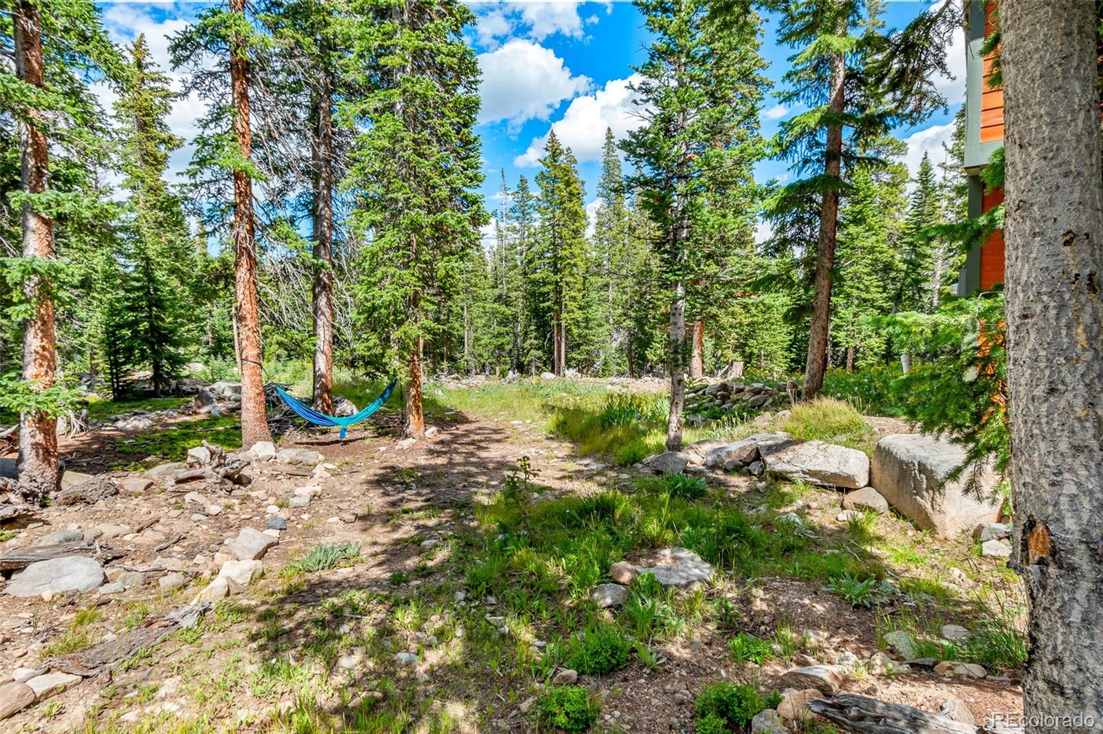 MLS Image #40 for 1561  prunes place,fairplay, Colorado