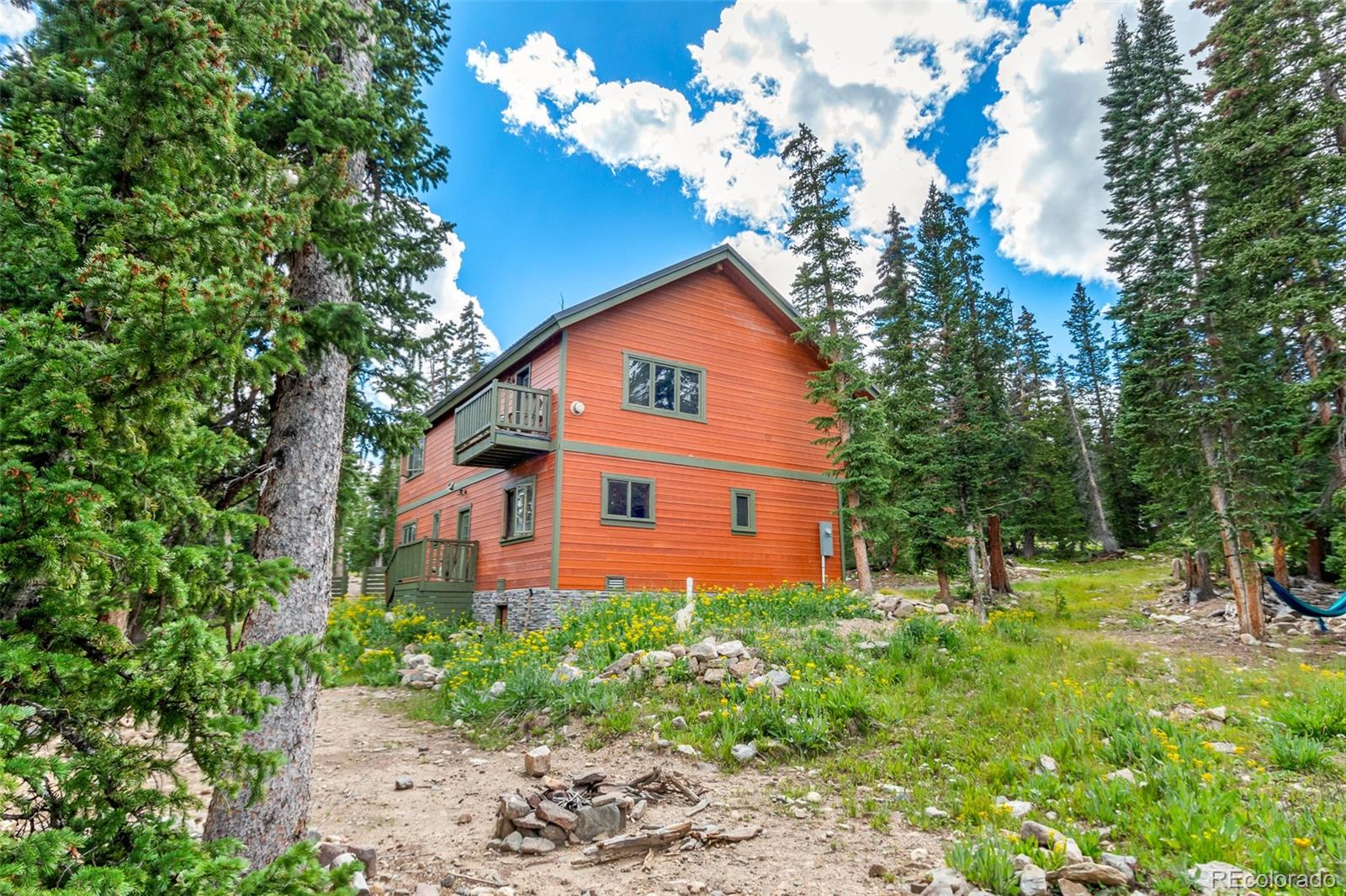 MLS Image #41 for 1561  prunes place,fairplay, Colorado