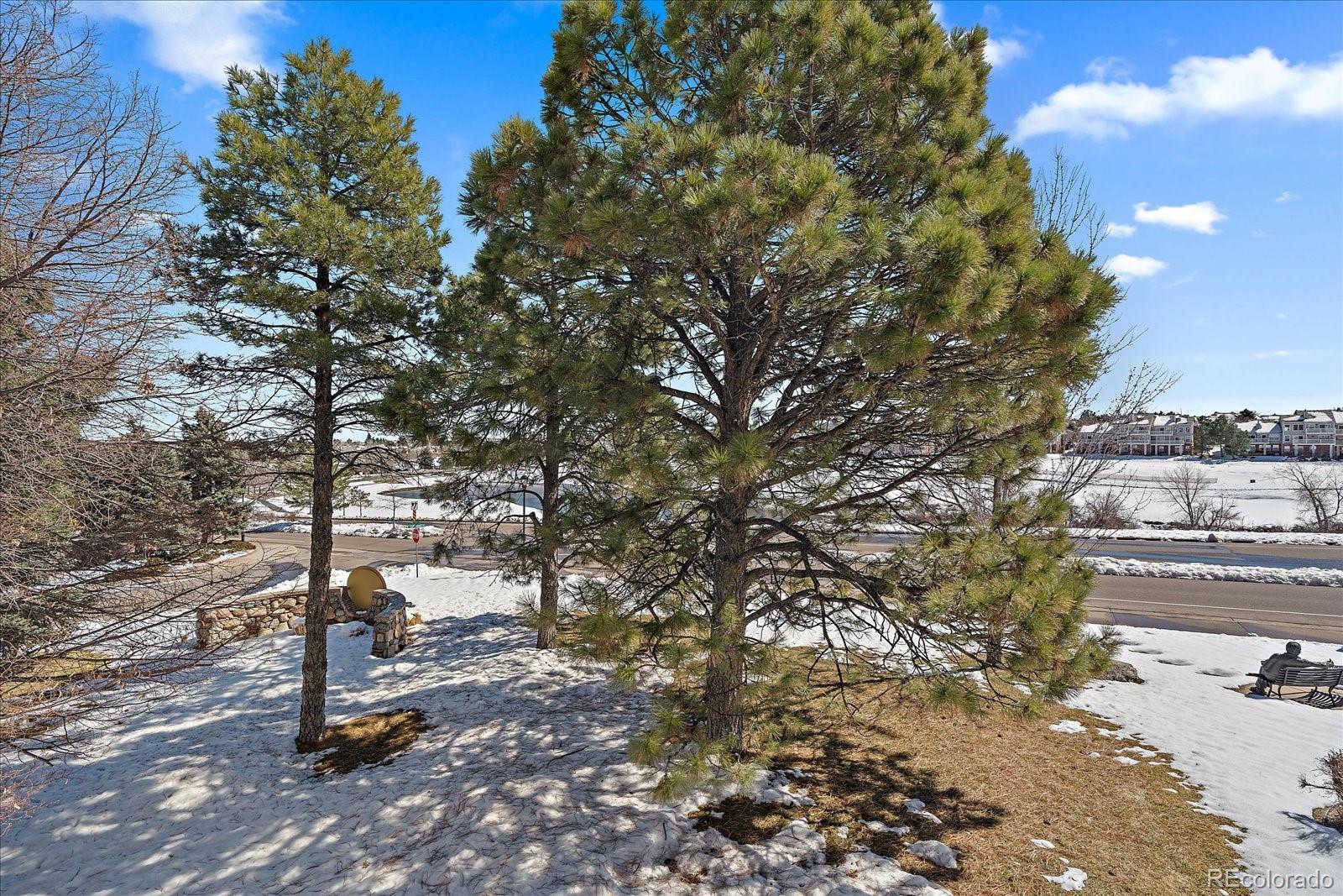 MLS Image #21 for 9320  meredith court ,lone tree, Colorado