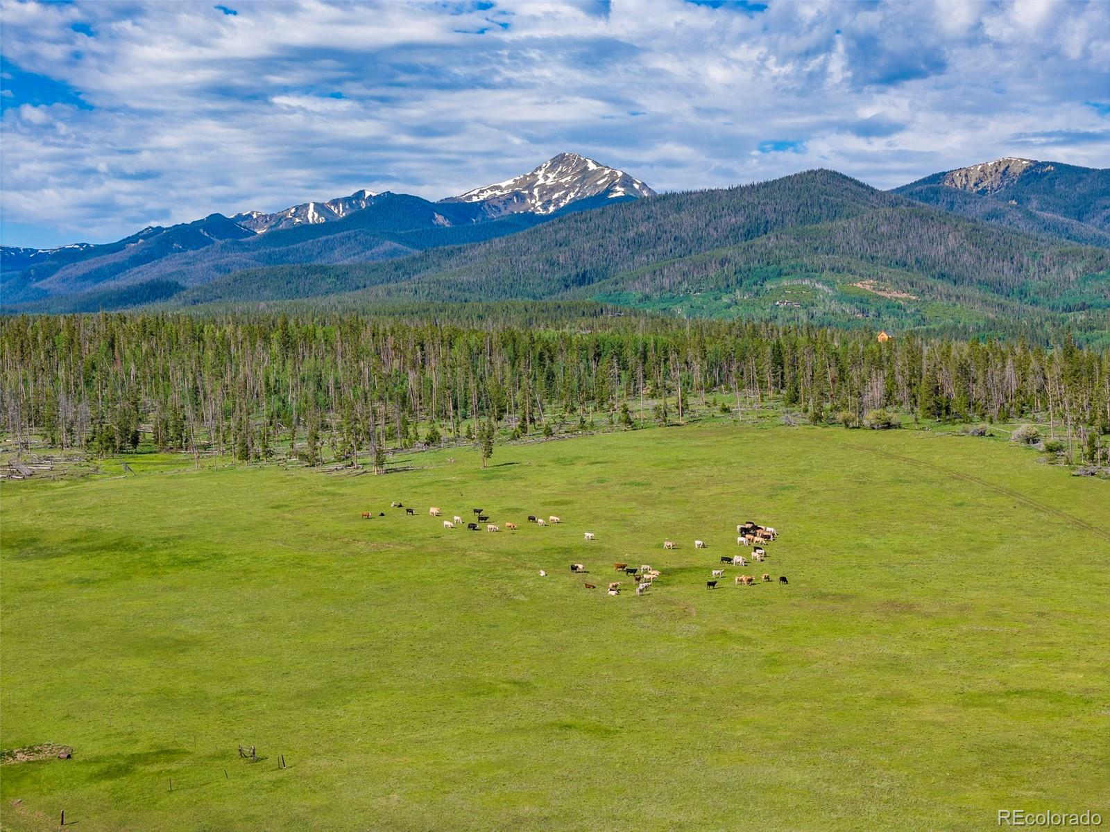 MLS Image #12 for 1557  county road 5 ,fraser, Colorado