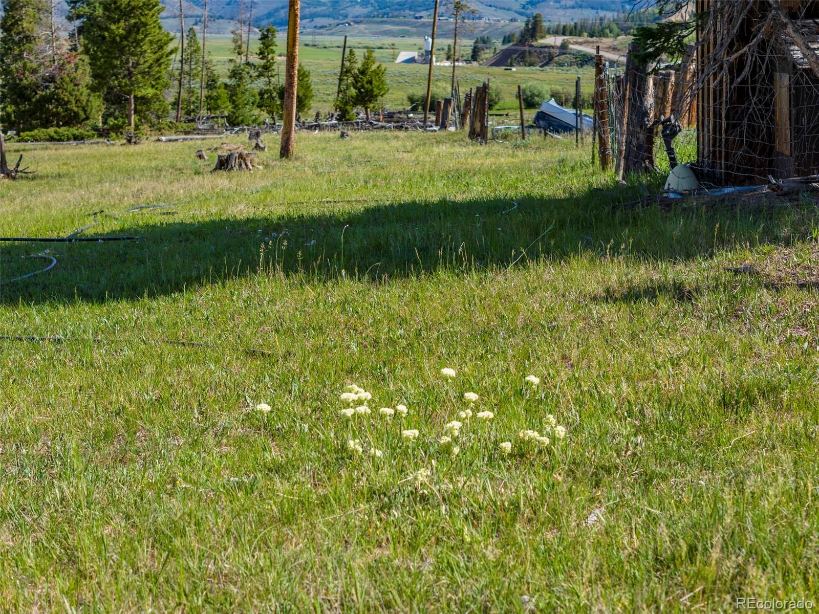 MLS Image #19 for 1557  county road 5 ,fraser, Colorado