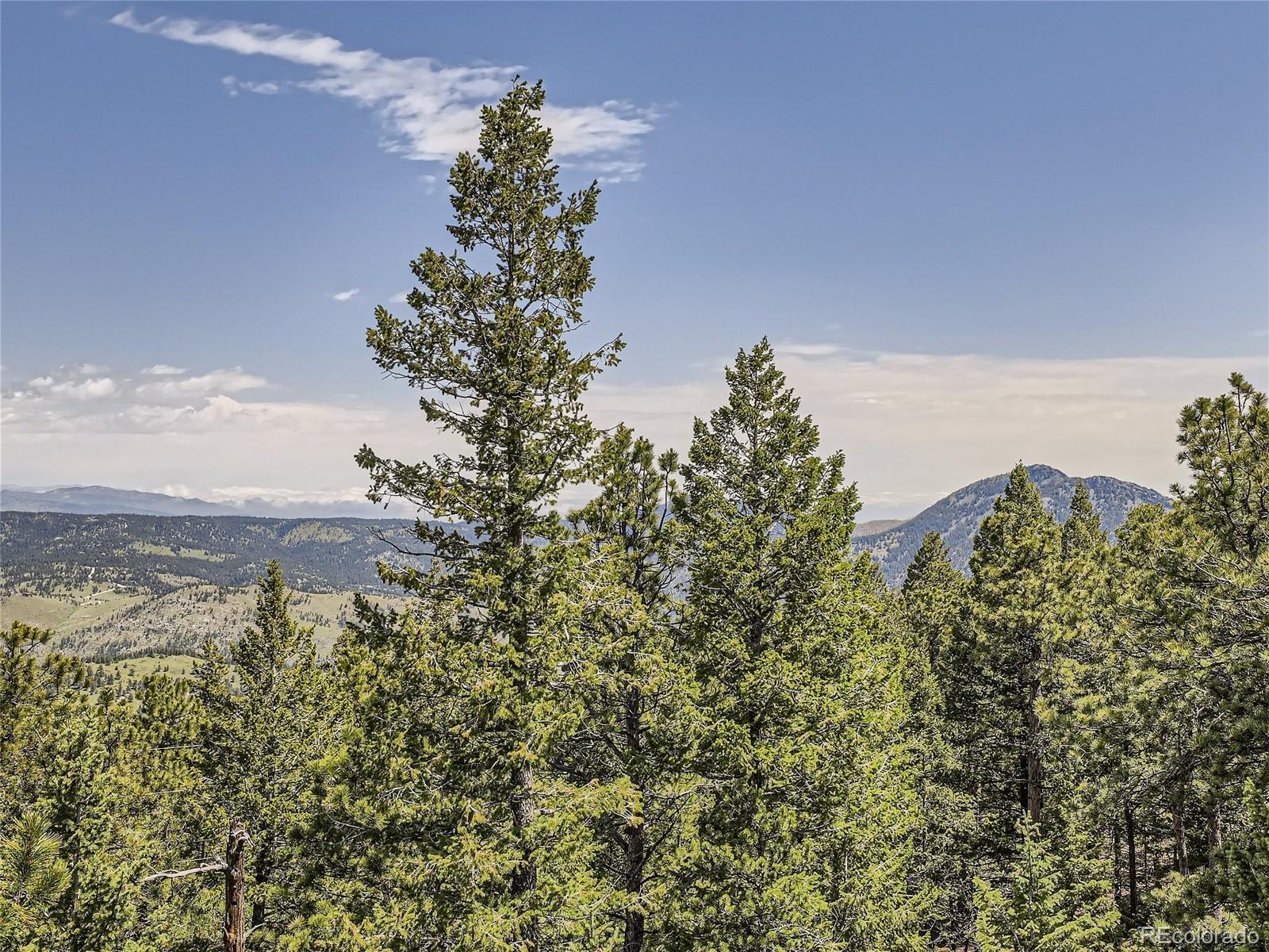 MLS Image #40 for 12002  spruce canyon circle,golden, Colorado