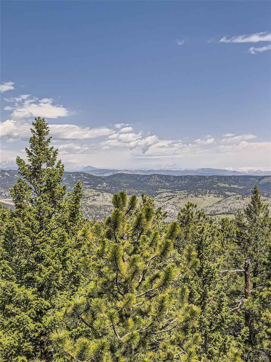 MLS Image #41 for 12002  spruce canyon circle,golden, Colorado