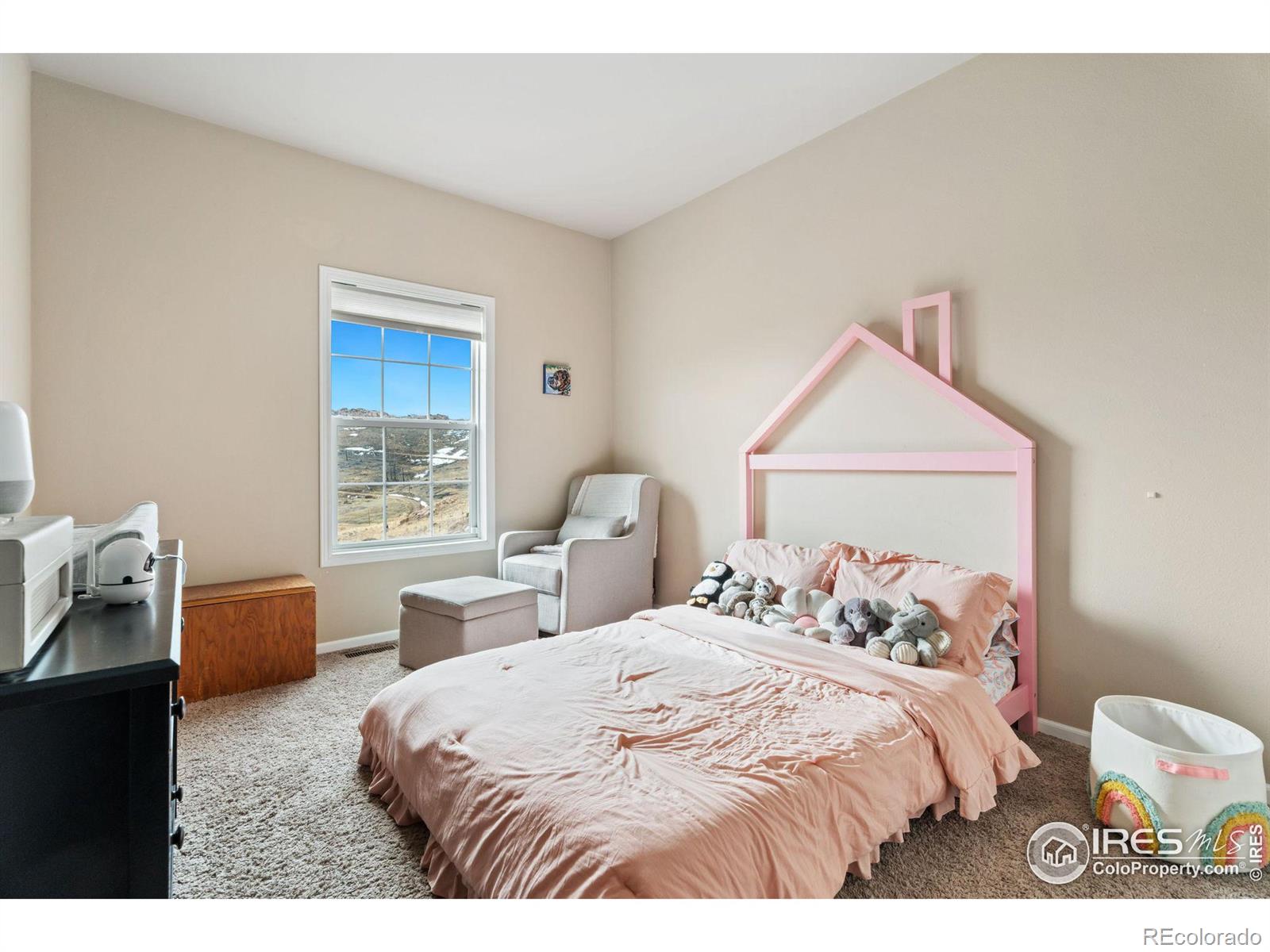 MLS Image #18 for 62  rabbit ears court,livermore, Colorado