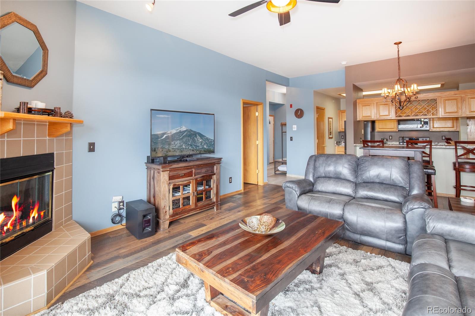 MLS Image #2 for 1660  lakeview terrace,frisco, Colorado