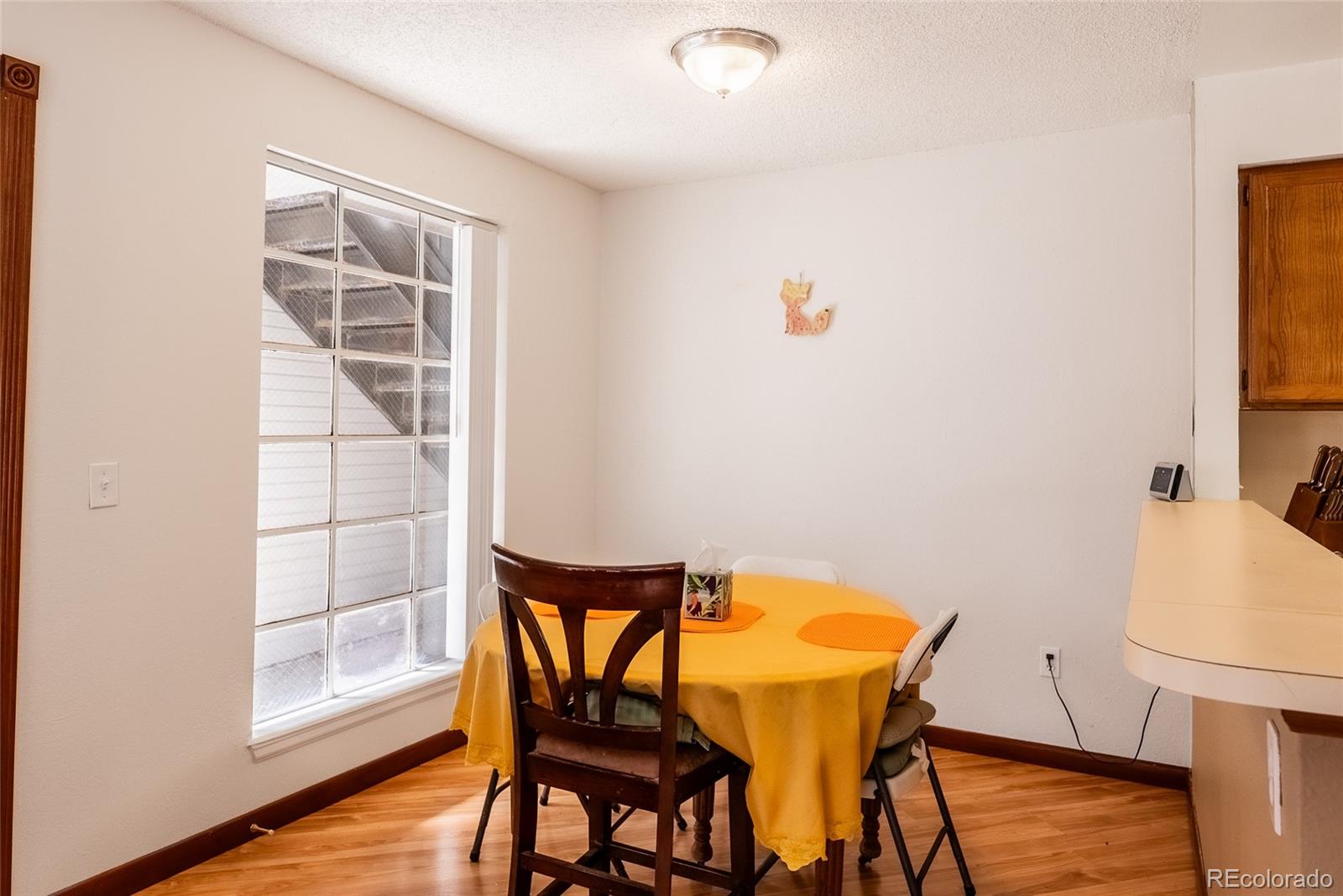 MLS Image #9 for 4450 s pitkin street,aurora, Colorado