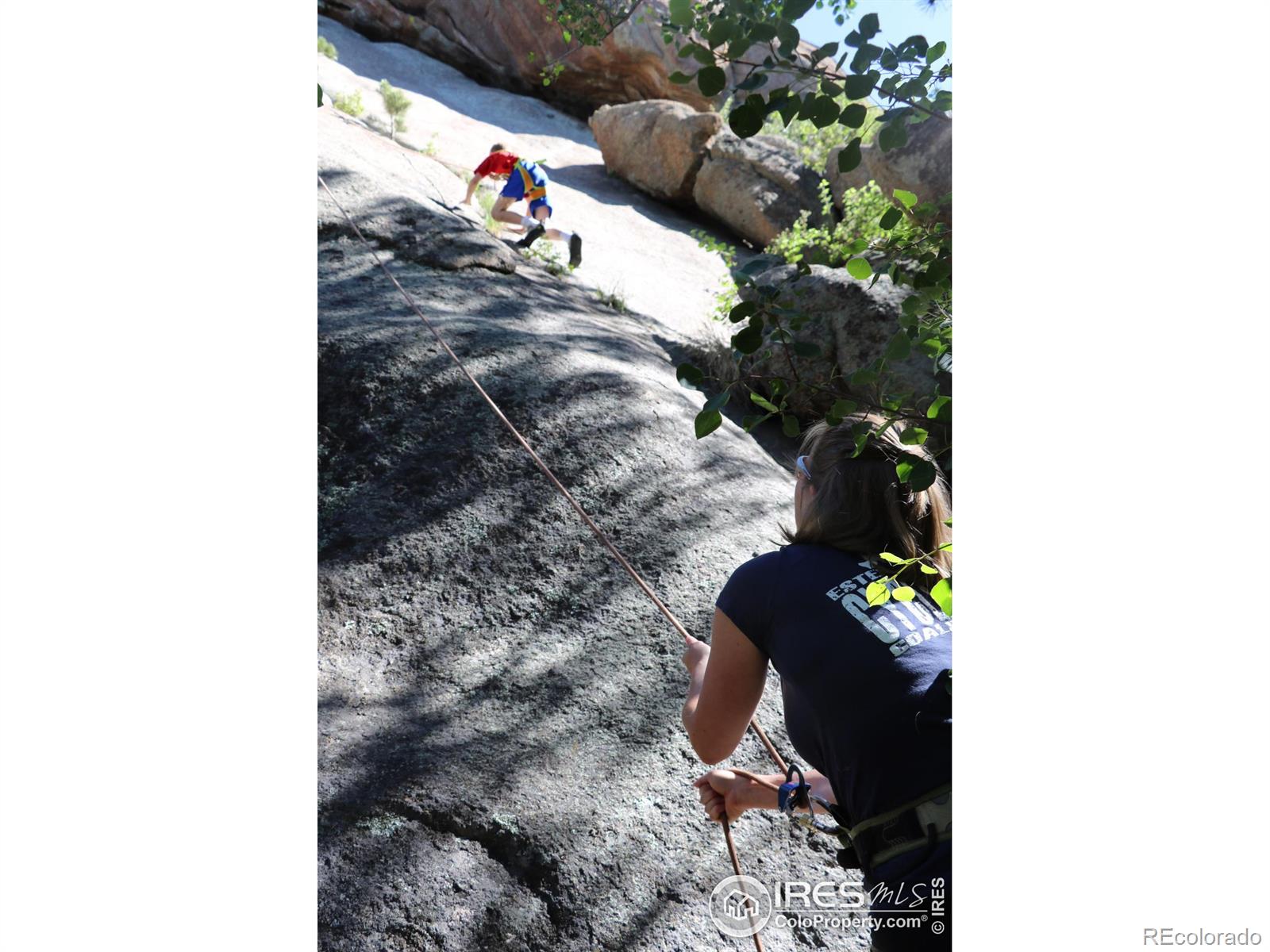 MLS Image #3 for 1527  devils gulch road,estes park, Colorado