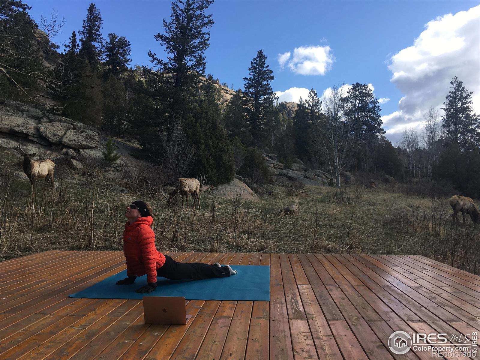 MLS Image #5 for 1527  devils gulch road,estes park, Colorado