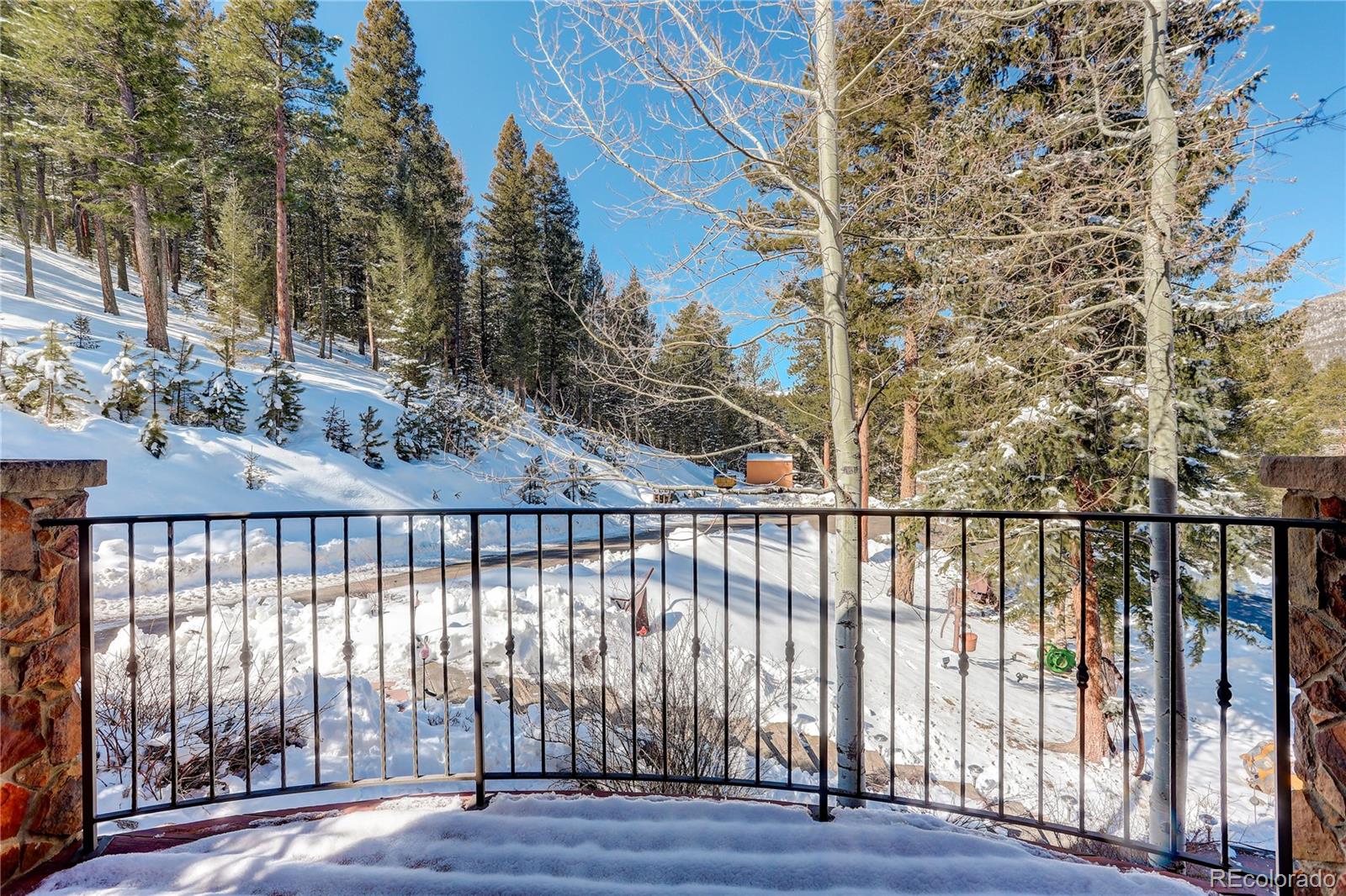 MLS Image #4 for 92  whiskey jay hill road,evergreen, Colorado