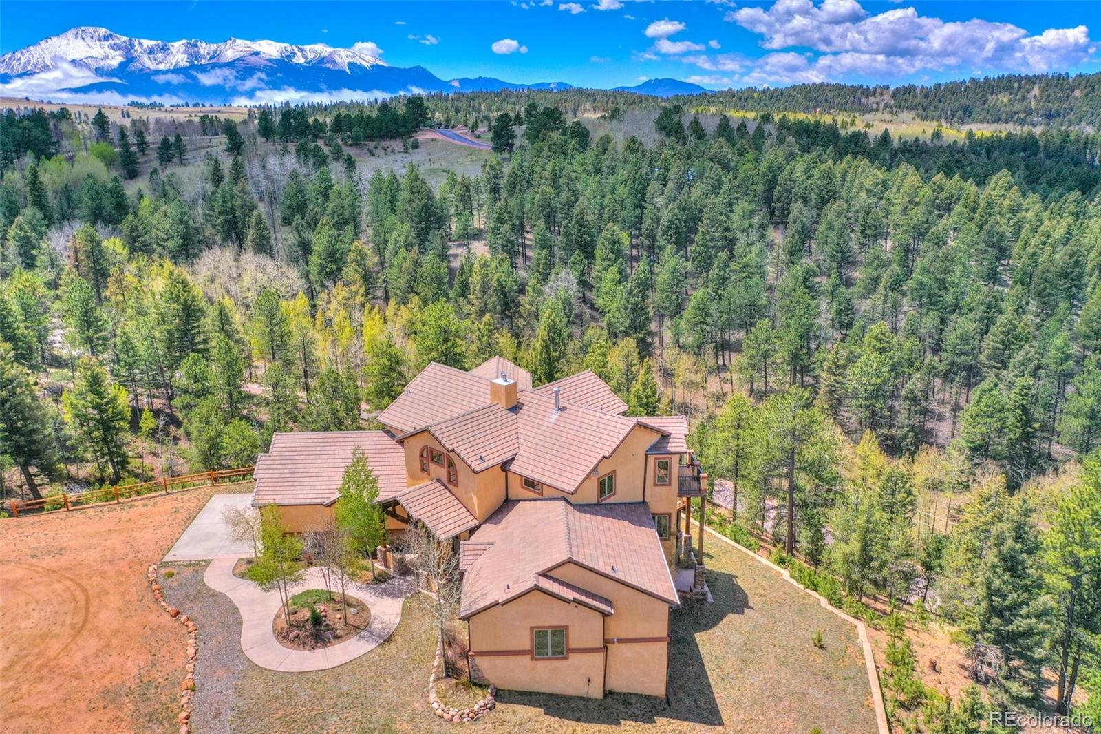 MLS Image #4 for 10475  peavey place,woodland park, Colorado