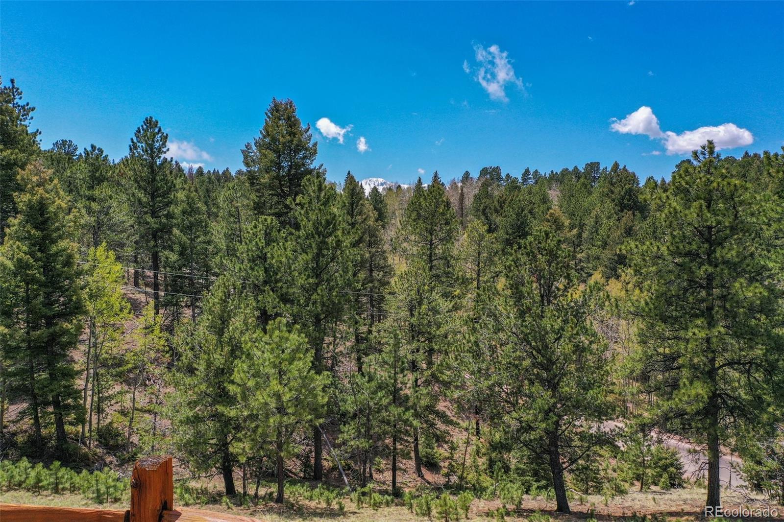 MLS Image #42 for 10475  peavey place,woodland park, Colorado