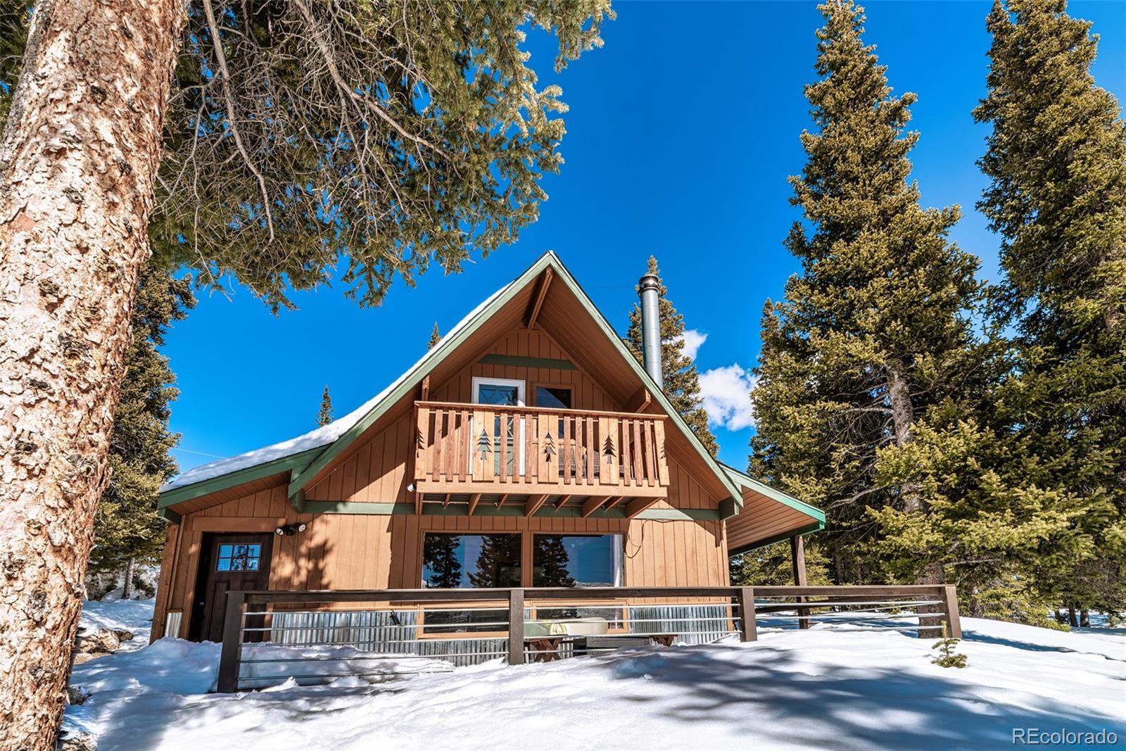 MLS Image #0 for 1248  mountain view drive,fairplay, Colorado