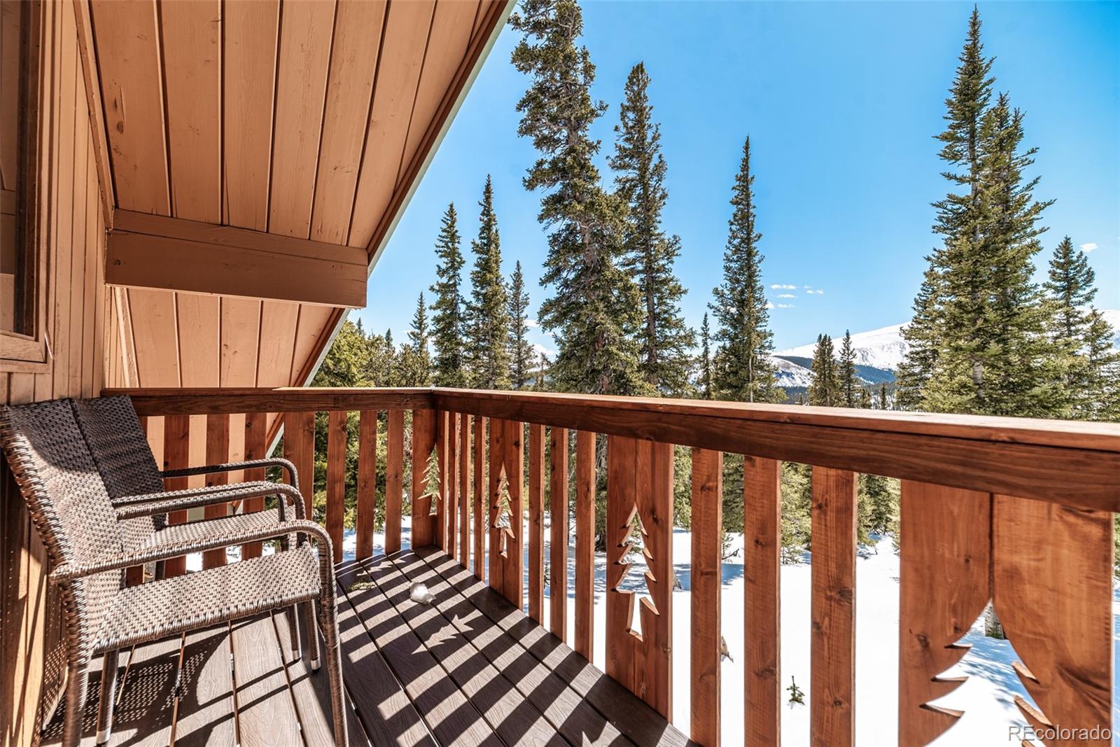 MLS Image #30 for 1248  mountain view drive,fairplay, Colorado