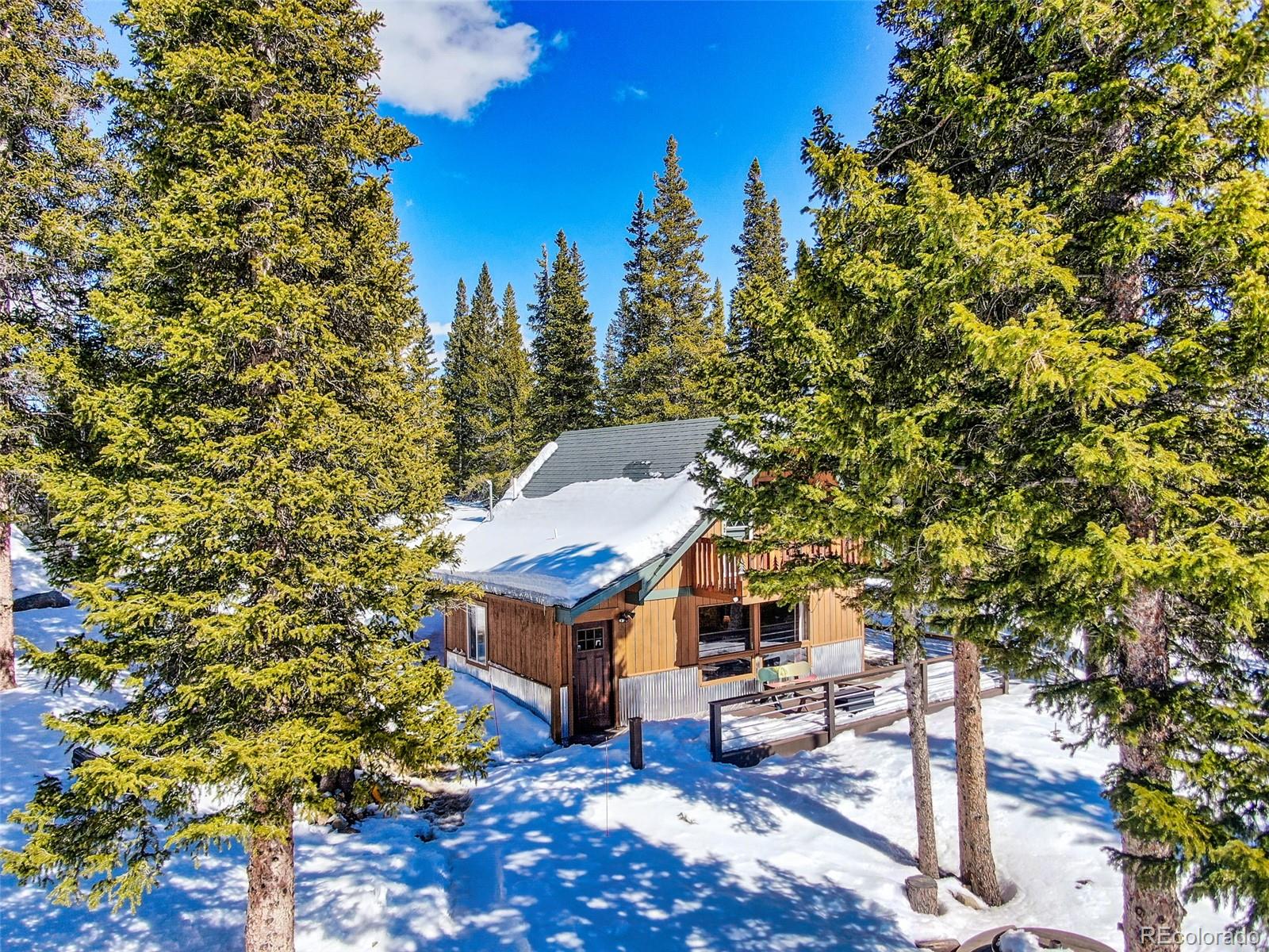 MLS Image #37 for 1248  mountain view drive,fairplay, Colorado