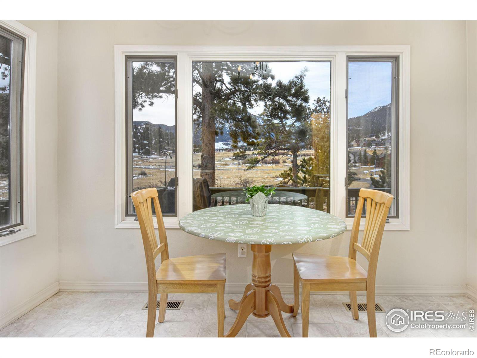 MLS Image #9 for 2365  arapaho road,estes park, Colorado