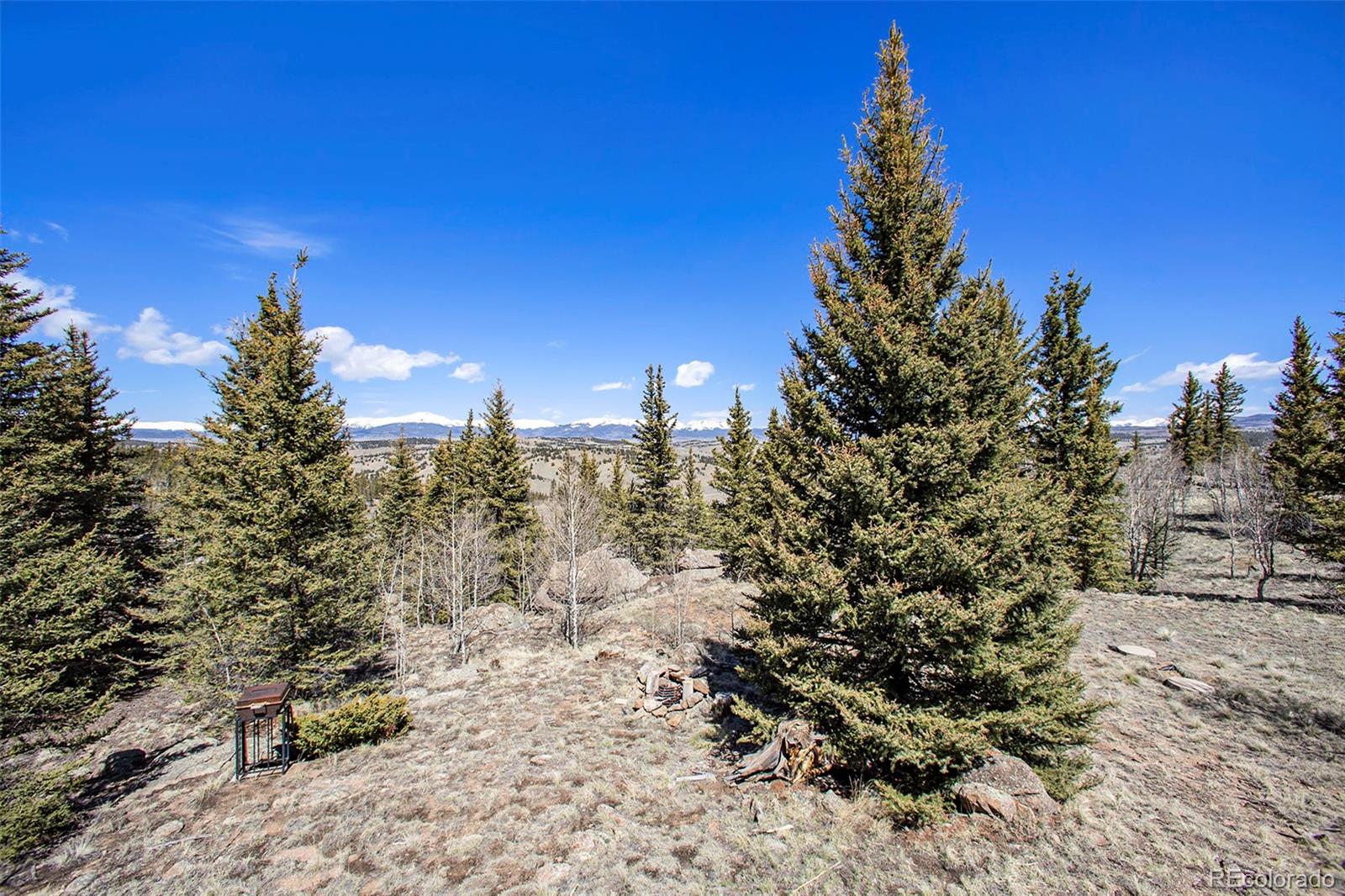 MLS Image #12 for 1159  wells fargo circle,jefferson, Colorado