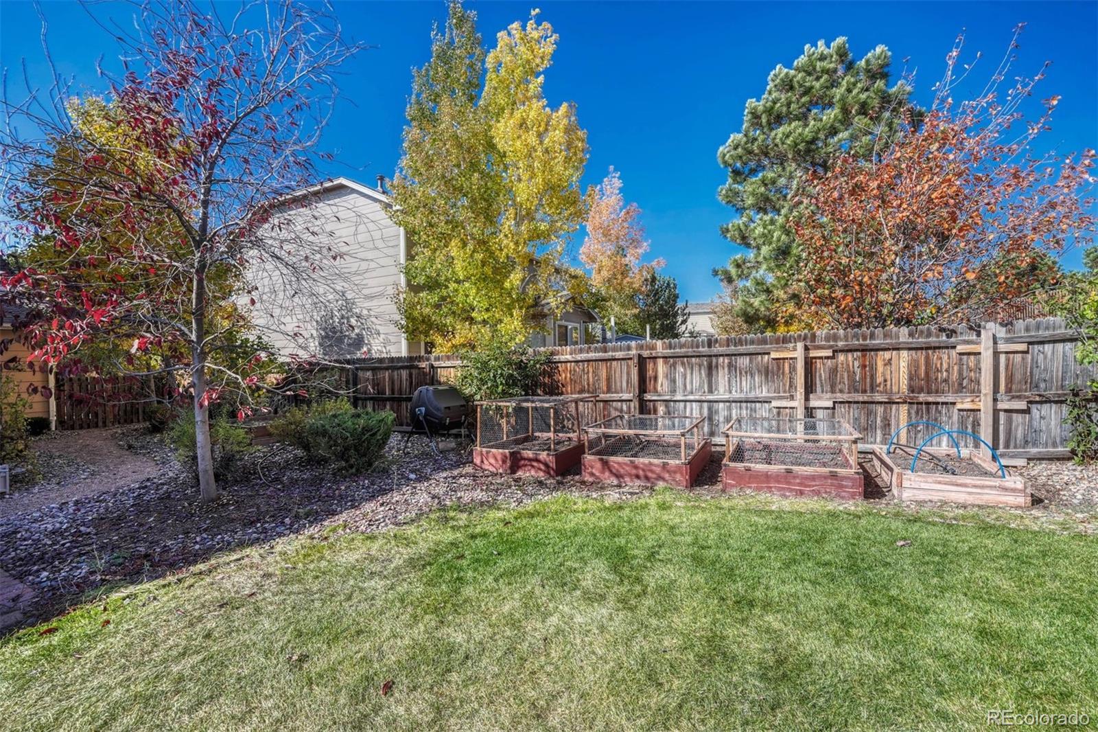 MLS Image #2 for 17055  buffalo valley path,monument, Colorado