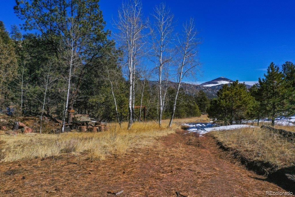 MLS Image #44 for 2  golden eagle heights,florissant, Colorado