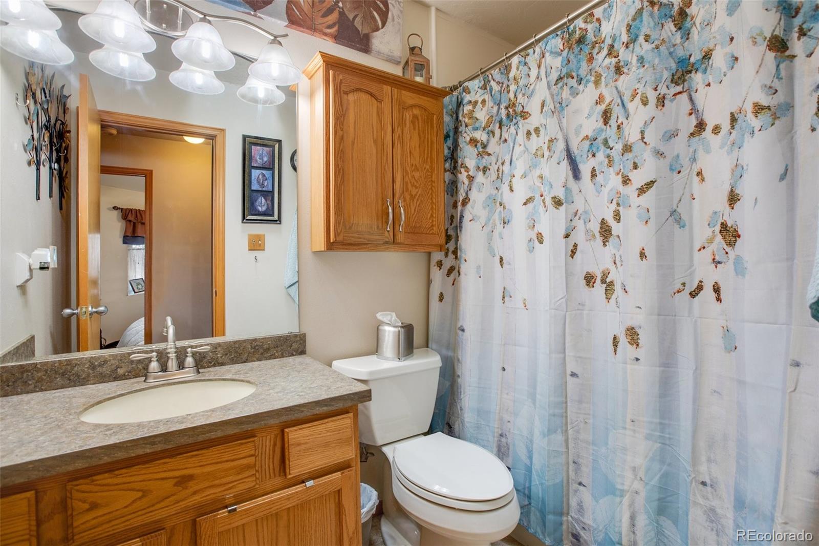 MLS Image #14 for 411  bowman avenue,woodland park, Colorado