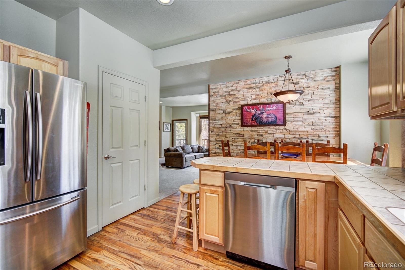 MLS Image #12 for 234  peterson drive,fairplay, Colorado