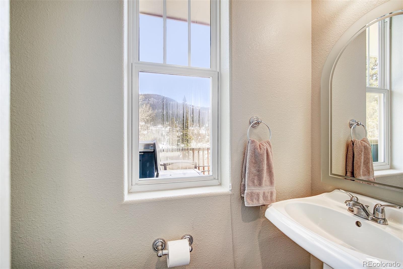 MLS Image #14 for 234  peterson drive,fairplay, Colorado