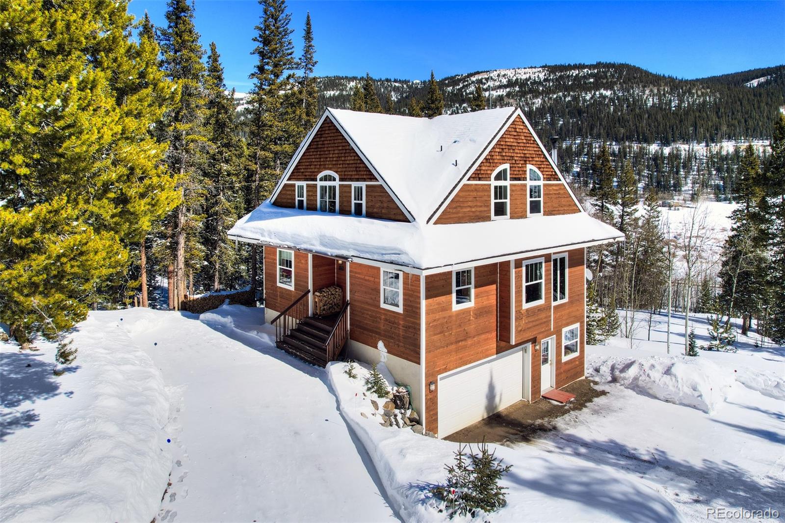 MLS Image #2 for 234  peterson drive,fairplay, Colorado