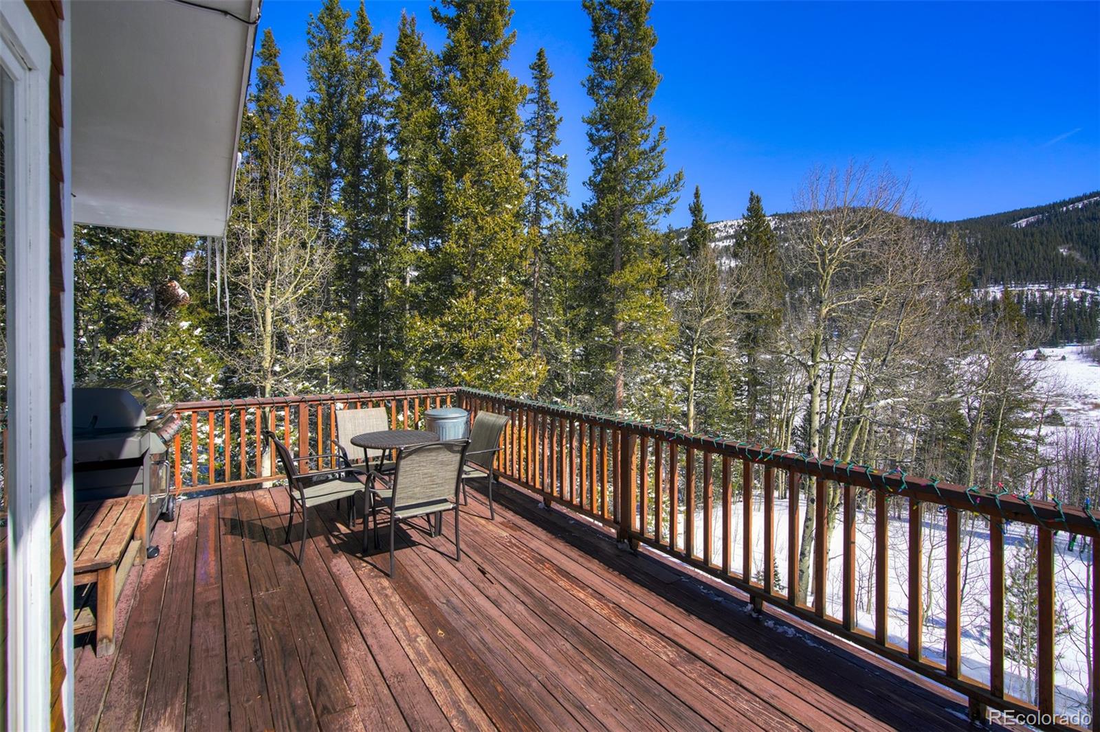 MLS Image #23 for 234  peterson drive,fairplay, Colorado