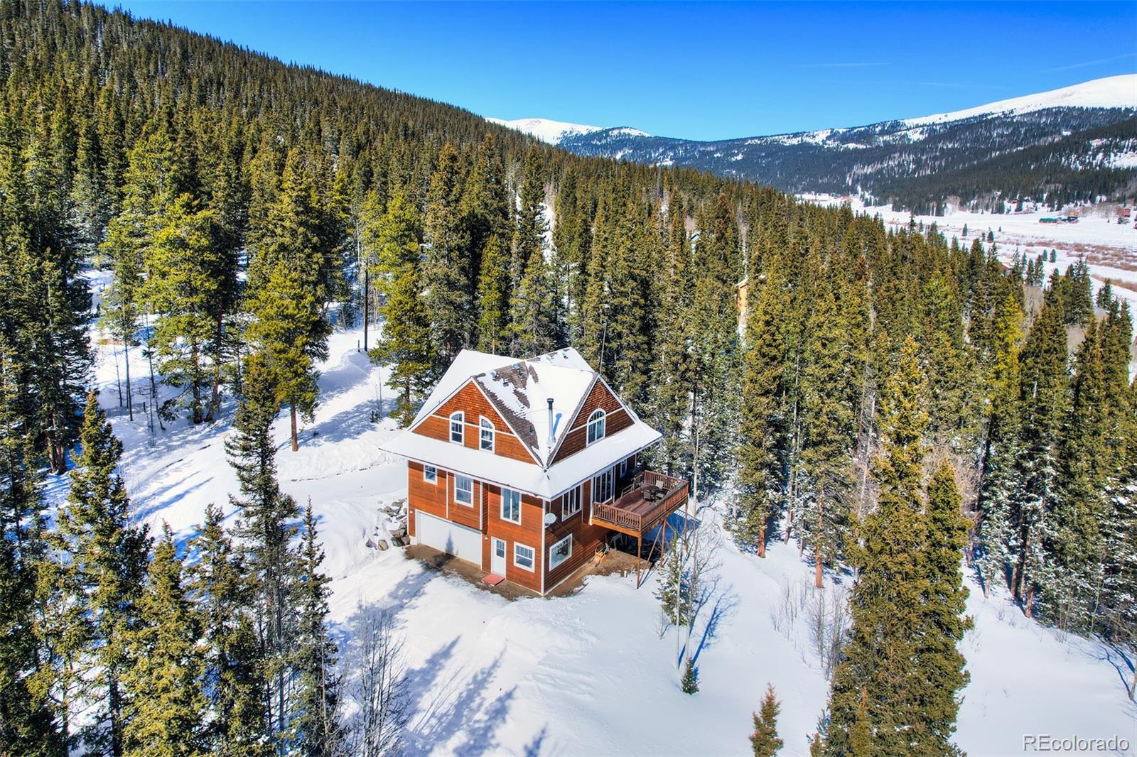 MLS Image #4 for 234  peterson drive,fairplay, Colorado