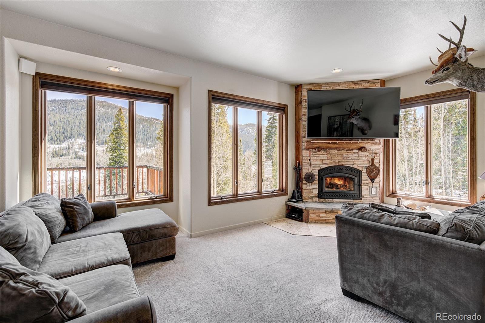 MLS Image #5 for 234  peterson drive,fairplay, Colorado