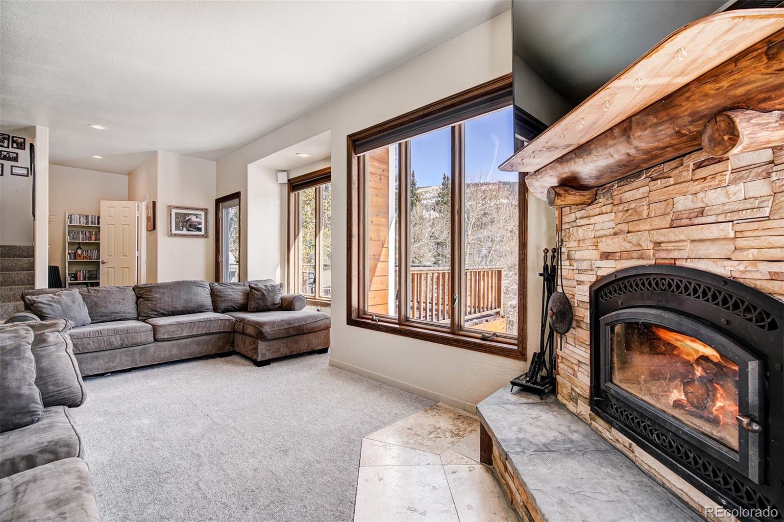 MLS Image #6 for 234  peterson drive,fairplay, Colorado