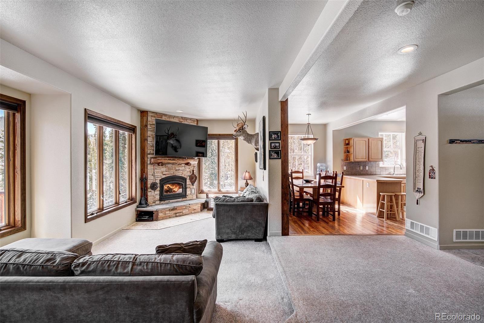 MLS Image #7 for 234  peterson drive,fairplay, Colorado