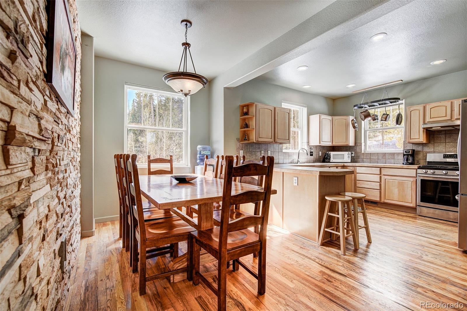 MLS Image #9 for 234  peterson drive,fairplay, Colorado
