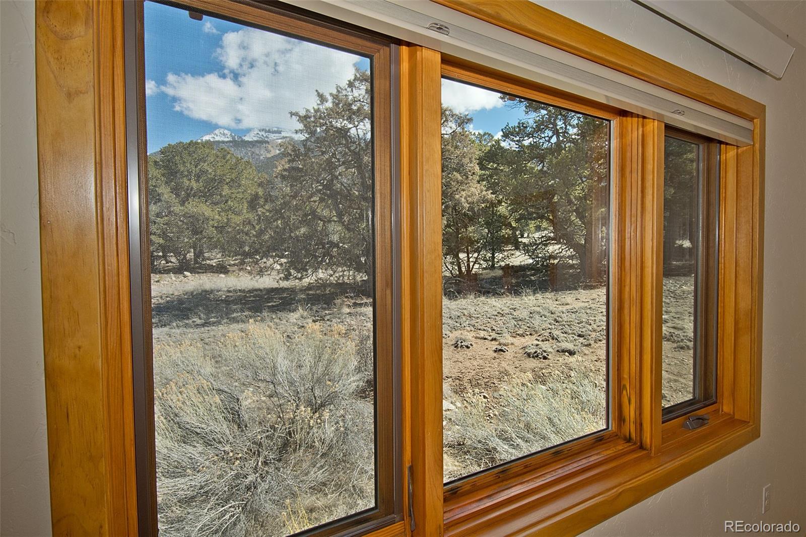 MLS Image #11 for 2061  sandstone way,crestone, Colorado