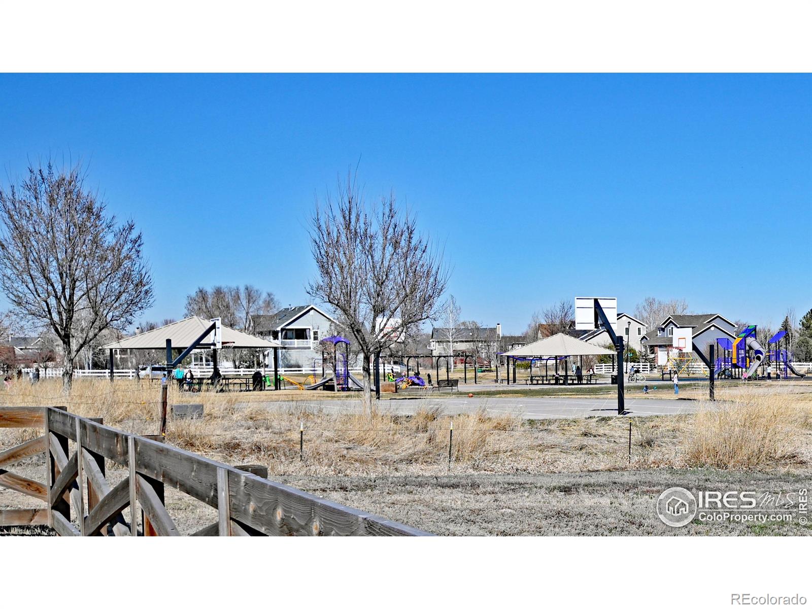 MLS Image #32 for 569  barnwood drive,windsor, Colorado