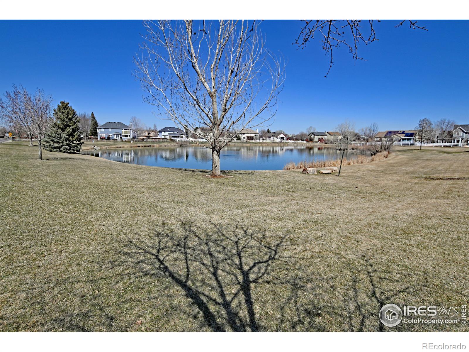 MLS Image #34 for 569  barnwood drive,windsor, Colorado